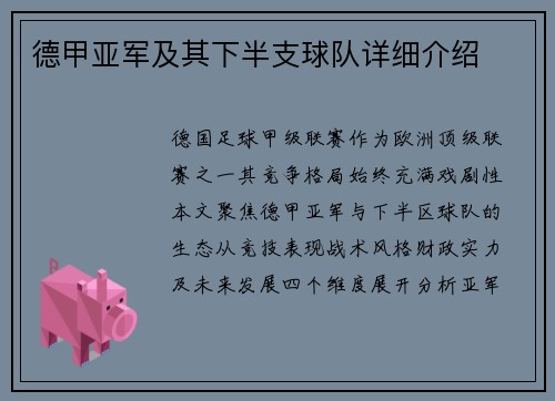 德甲亚军及其下半支球队详细介绍
